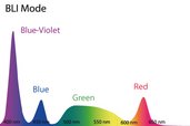 BLI Mode